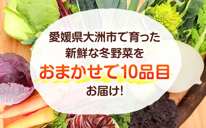 寒い冬の温かな料理に！かとう旬菜畑から直送 冬野菜おまかせ便10種 冬野菜 旬 新鮮 鍋 おうちごはん 愛媛県大洲市/かとう旬菜畑 [AGCW001]