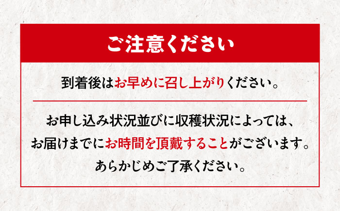 愛媛県産 エコラブスイカ 特1玉 愛媛県大洲市/株式会社フジ・アグリフーズ すいか スイカ くだもの フルーツ 果物 [AGBA017]