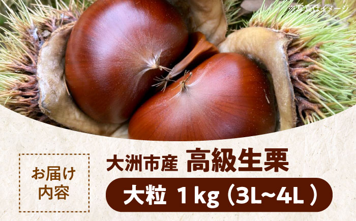 【先行予約】【2026年9月下旬から順次発送】あじさい農園の高級生栗（1kg）　愛媛県大洲市/あじさい農園 [AGAE007]くり クリ モンブラン マロン 秋の味覚 和菓子 栗ご飯 栗ごはん 栗きんとん ケーキ スイーツ クリ 手作りスイーツ素材 おやつ 材料
