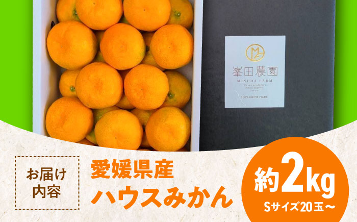 【先行予約】【7月より順次発送】愛媛県産 峯田農園のあま〜い「ハウスみかん」2kg　愛媛県大洲市/峯田農園 [AGBT001]みかん オレンジ フルーツ ミカン 果物 かき氷 みかんジュース 愛媛みかん こたつ みきゃん スムージー デザート おやつ ヨーグルト 調味料 ドレッシング 隠し味 料理