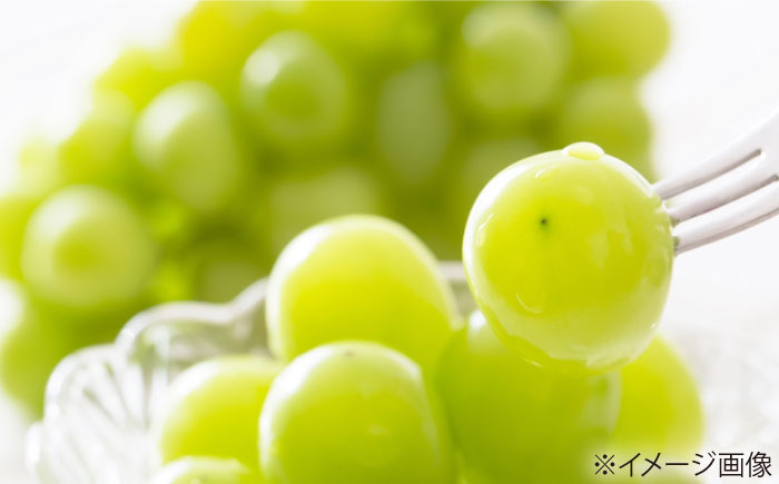【先行予約】【2026年8月中旬から順次発送】 ぶどう 4から5房 約2kg 詰め合わせ セット 愛媛県大洲市/有限会社西山青果　フルーツ 果物 ぶどう ピオーネ [AGAR023]