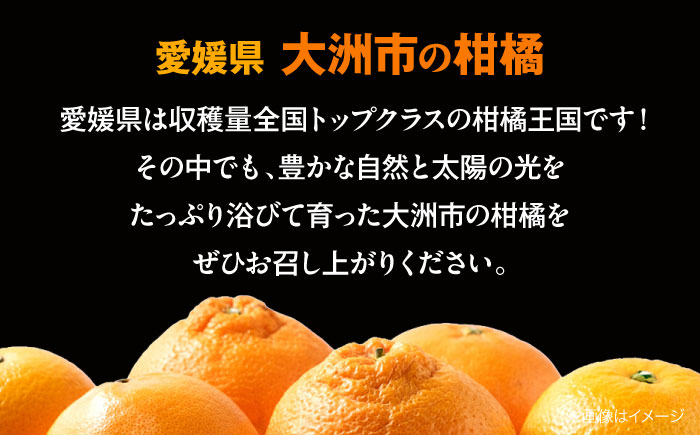 みかん・はれひめ 混合ジュース（720ml×2本）　愛媛県大洲市/峯田農園 みかんジュース 柑橘 果物 ギフト ストレートジュース [AGBT017]