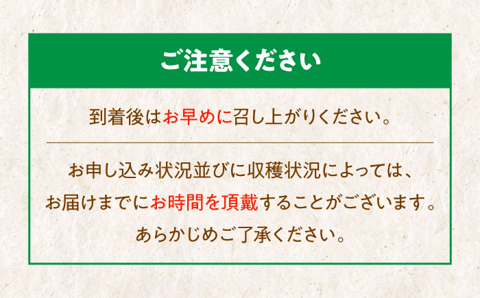 【先行予約】【10月上旬から順次発送】「梨の王様」特大新高　梨5kg（6個から8個入り）　愛媛県大洲市/幸野観光なし園 [AGBD002] 梨 果物 秋の味覚 フルーツ なし  おやつ かおり 朝ごはん 大好物 サラダ 晩ごはん ヨーグルト デザート 手作りスイーツ 手作りお菓子 料理 隠し味