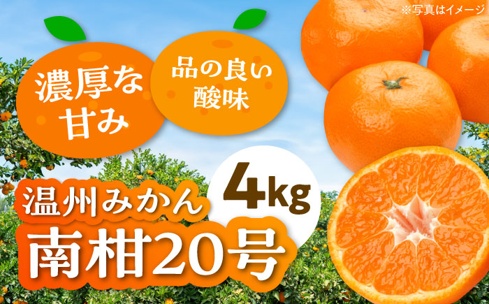 [先行予約][12月上旬から順次発送]本場ならではの品質!柑橘王国愛媛県産温州みかん 南柑20号 約4kg 愛媛県大洲市/有限会社カーム/カームシトラス [AGBW002]みかん オレンジ フルーツ ミカン 果物 愛媛みかん こたつ みきゃん スムージー デザート おやつ ヨーグルト 料理