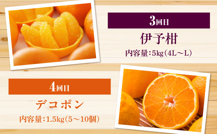 【全6回定期便】 【2026年11月以降毎月発送】えひめかんきつ定期便 愛媛県大洲市/愛媛県観光物産協会 みかん 日の丸ゴールド 紅まどんな 伊予柑 デコポン せとか 河内晩柑 [AGDN001]