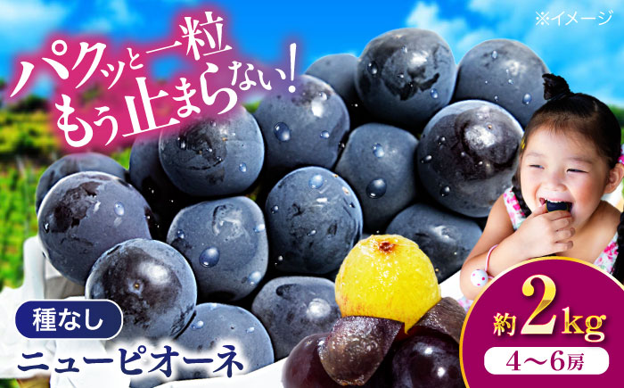 【先行予約】【2025年8月中旬から順次発送】ニューピオーネ 2kg（4から6房）愛媛県大洲市/有限会社ふじブドウ園 果物 くだもの フルーツ 葡萄 ぶどう ピオーネ [AGDB001]