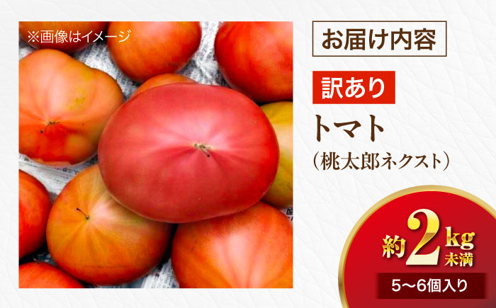 【先行予約】【4月中旬から順次発送】訳ありトマト 桃太郎ネクスト 5〜6個入り（約2kg未満） 愛媛県大洲市/にのみや農園 トマト とまと tomato 野菜 旬野菜 春夏野菜 [AGDG008]