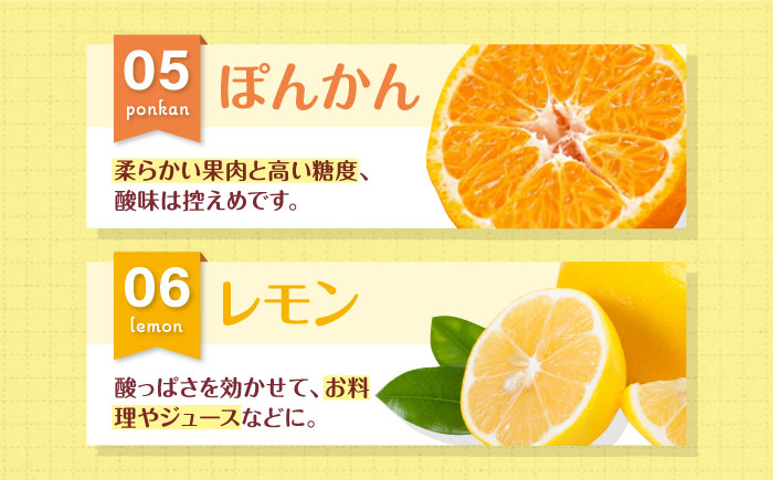 【先行予約】【3月頃発送】柑橘おまかせセット 愛媛県大洲市/沢井青果有限会社 [AGBN053]