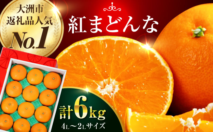 【先行予約】【11月下旬から順次発送】 愛媛県限定栽培みかん！ 紅まどんな 約6kg（4L〜2Lサイズ 8〜12玉入 計3kg×2箱）化粧箱入　みかん 6kg 紅マドンナ 愛媛県大洲市/愛媛たいき農業協同組合 [AGAO016]