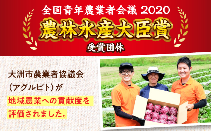 【全6回定期便】生産者の顔が見えるから安心して食べられる！毎回ちがう旬の農産物定期便　愛媛県大洲市/大洲市青年農業者協議会 [AGBL001]サラダ カレー 料理 収穫 ダイエット ヘルシー ブロッコリー きゅうり キャベツ 鍋 健康 とうもろこし 果物 和食 スープ