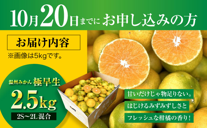 【先行予約】【10月上旬より順次配送】 酸味さわやか愛媛じるし! 温州みかん 2.5kg （2Sから2L混合サイズ） みかん 愛媛 みかん ジュース 果物 くだもの フルーツ 愛媛県大洲市/玉川農園 [AGBC004]