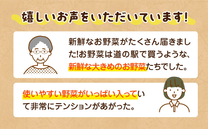 【全3回定期便】産地直送！鮮度抜群！旬を味わう新鮮野菜と果物の詰め合わせセレクションボックス（8種以上）　愛媛県大洲市/たいき産直市愛たい菜 [AGAP018]