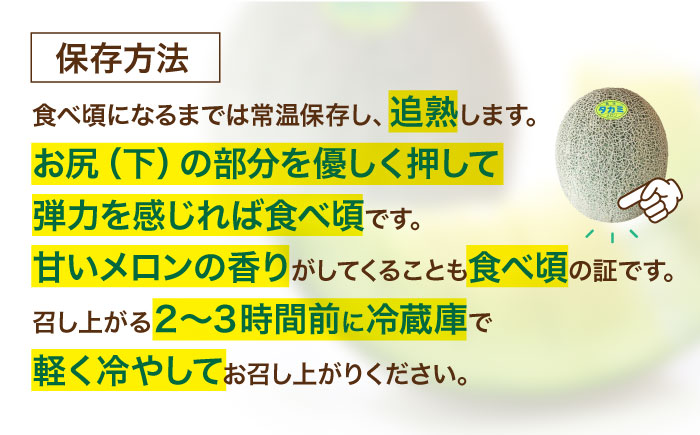 【先行予約】【6月中旬から順次発送】 タカミ メロン LLサイズ 1玉入り（2.5kg〜3kg以下/玉） 愛媛県大洲市/にのみや農園 めろん 貴味 果物 フルーツ くだもの 青肉 高級　 [AGDG004]