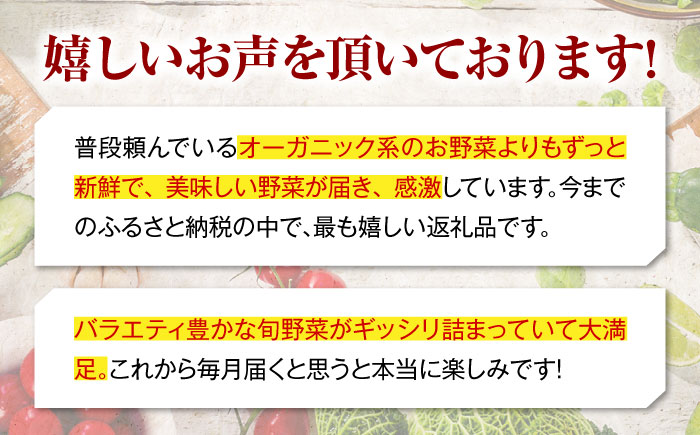【全6回定期便】 【シェフの目線】　野菜 6から7種　単身・二人暮らし用セット　愛媛県大洲市/有限会社ヒロファミリーフーズ 野菜 やさい 少量セット 食べきり [AGBX045]