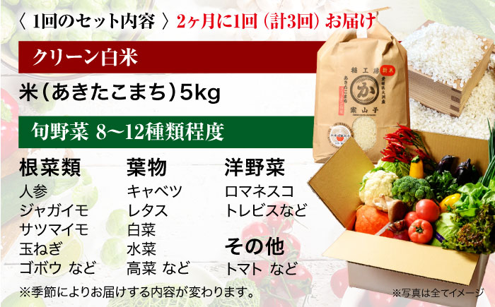 【全3回定期便】【2ヶ月に1回】 クリーン白米+旬のお野菜セット 愛媛県大洲市/有限会社ヒロファミリーフーズ [AGBX040]