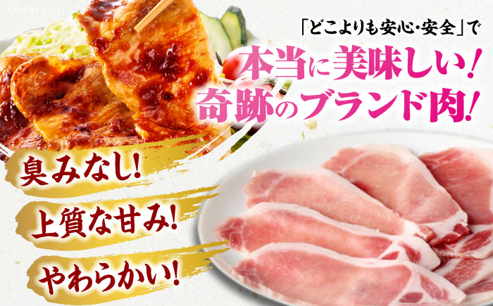 【冷凍】【4Xポーク】 豚肉 しょうが焼き用スライスセット 610g（ロース170g、肩ロース190g、もも250g）　豚肉 切り落とし 小分け 肉 ぶたにく 愛媛県大洲市/株式会社SL Creations [AGCY002]