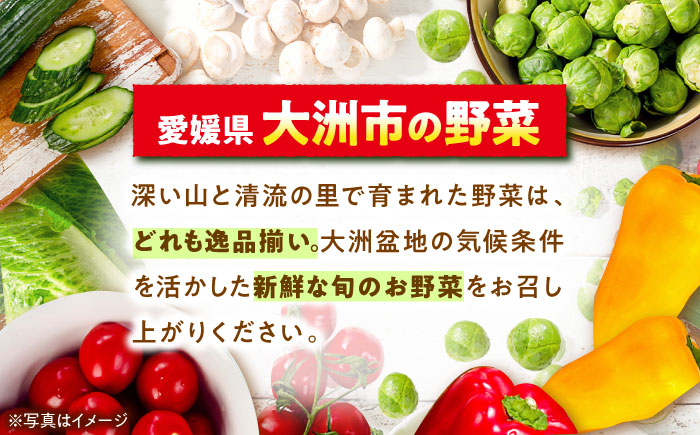 【全12回定期便】【シェフの目線】栽培期間中農薬不使用！旬のお野菜セット×クリーン白米【ふるさと納税限定】　愛媛県大洲市/有限会社ヒロファミリーフーズ[AGBX011]サラダ カレー トマト 料理 ブロッコリー きゅうり キャベツ 健康 とうもろこし 果物 和食 スープ ミニトマト おこめ コメ