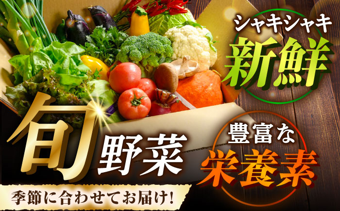 【全12回定期便】【シェフの目線】栽培期間中農薬不使用！旬のお野菜セット×もぎたてフルーツセット　愛媛県大洲市/有限会社ヒロファミリーフーズ [AGBX008]野菜 サラダトマト 料理 きゅうり 鍋 とうもろこし 果物 ミニトマト 新鮮 健康 和食 洋食 中華 産地直送 国産 安心安全 JAS認定 有機無農薬 有機栽培 減農薬栽培 有機JAS オーガニック