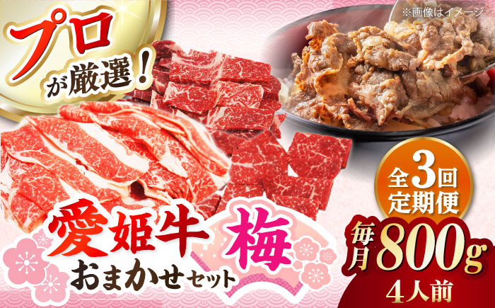 【全3回定期便】希少な国産ブランド牛！「愛姫牛」店主におまかせ旬セット【梅】800g（4人前）牛肉 お肉 ステーキ 国産肉 焼肉 グルメ 送料無料 お取り寄せ 愛媛県大洲市/有限会社 木村屋精肉店 [AGCC055]