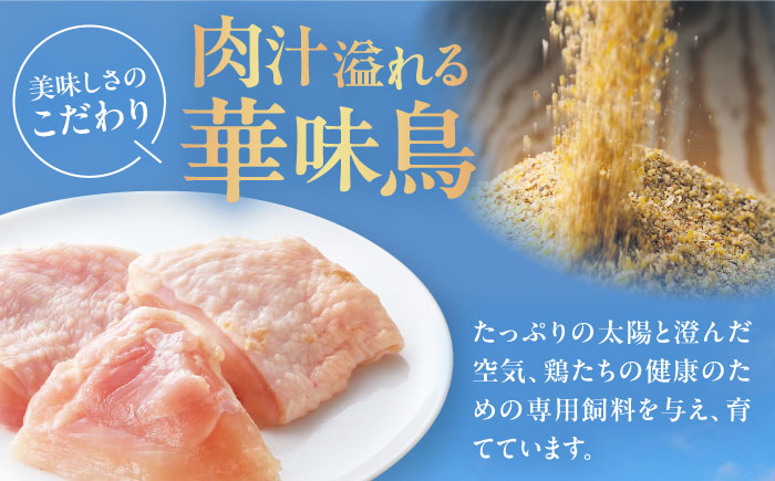 【全12回定期便】博多華味鳥　チキンカレー10食 愛媛県大洲市/トリゼンフーズ株式会社 カレーレトルト カレー インスタントカレー はなみどり [AGDT029]