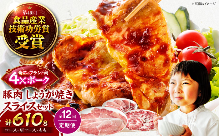 【全12回定期便】【冷凍】【4Xポーク】 豚肉 しょうが焼き用スライスセット 610g（ロース170g、肩ロース190g、もも250g）　豚肉 スライス 小分け 肉 ぶたにく 愛媛県大洲市/株式会社SL Creations [AGCY009] お正月 クリスマス