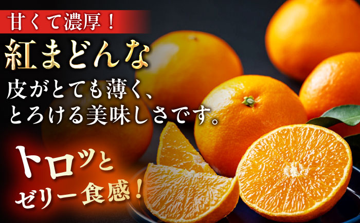 【全2回定期便】【数量限定】紅まどんな＆甘平 柑橘王国・愛媛が誇る柑橘2種の贅沢柑橘定期便！ 果物 フルーツ みかん 甘平 まどんな 愛媛県大洲市/愛媛たいき農業協同組合[AGAO013]