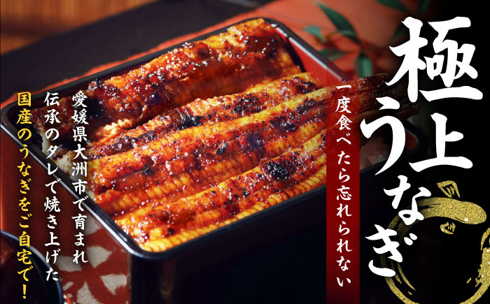 国産うなぎ！秘伝のタレで焼き上げた「うなぎ蒲焼き 3尾」と地元生産者こだわりの「お米 3kg」セット　愛媛県大洲市/有限会社 樽井旅館 [AGAH005]鰻 うな重 ひつまぶし 土用の丑の日 鰻重 ウナギ うな丼 鰻丼うなぎ丼 お米 お米 おにぎり 白米 ごはん ご飯 白ごはん