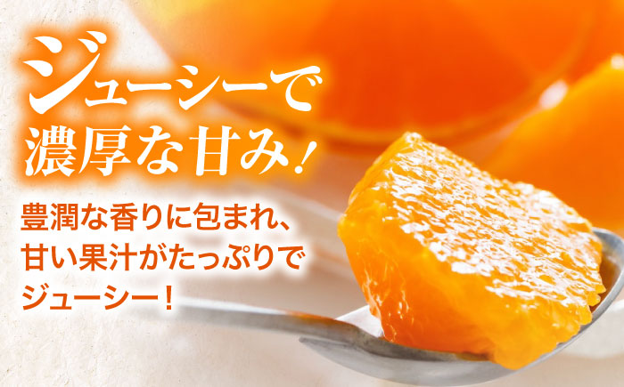 【先行予約】【11月下旬から順次発送】 紅まどんな 秀品 8個から15個入（JA愛媛たいき管内産）　紅まどんな みかん ミカン 紅マドンナ フルーツ 愛媛県大洲市/株式会社フジ・アグリフーズ［AGBA001］