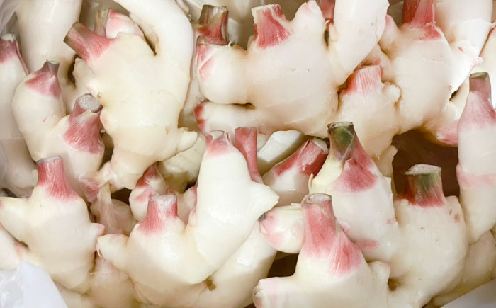 【先行予約】【2026年6月下旬から順次発送】 新生姜 2kg 愛媛県大洲市/株式会社誠実村 [AGER003]