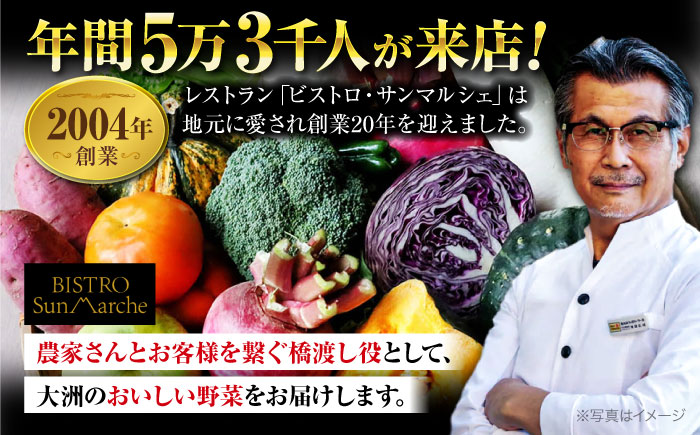 【全12回定期便】 【シェフの目線】　根菜×葉野菜 6から7種　単身・二人暮らし用セット　愛媛県大洲市/有限会社ヒロファミリーフーズ 野菜 果物 やさい 少量セット 食べきり [AGBX054]