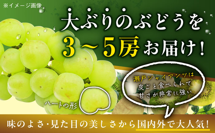 【先行予約】【9月初旬より順次発送】パリッとした食感。ジュワッと溢れる幸せ。瀬戸ジャイアンツ2kg（3〜5房）　愛媛県大洲市/沢井青果有限会社 [AGBN005]シャインマスカット ぶどう 葡萄 フルーツ 果物 スイーツ 甘い デザート 料理 ヨーグルト スムージー