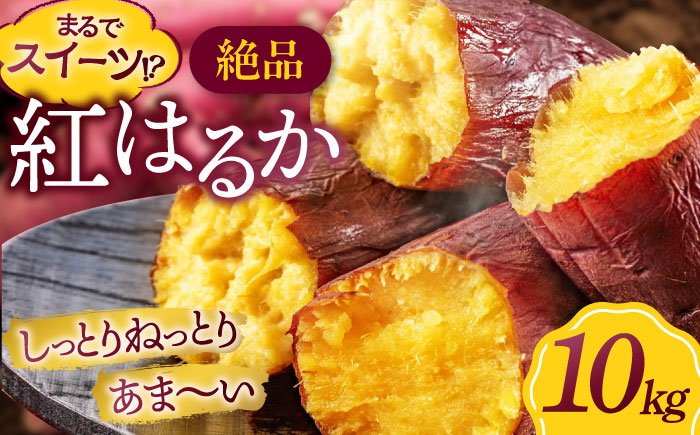 さつまいも（紅はるか）10kg 愛媛県大洲市/たいき産直市愛たい菜 [AGAP021]