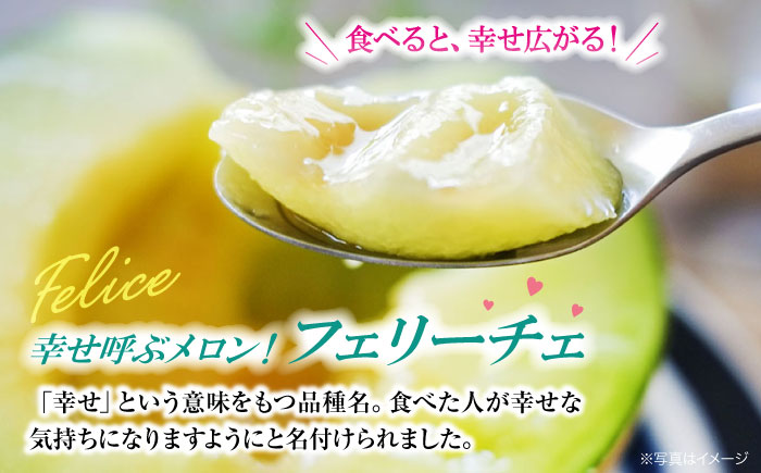 【先行予約】【6月上旬から順次発送】 メロン フェリーチェ 2から3玉 愛媛県大洲市/梶原農園　めろん 果物 フルーツ くだもの 青肉 高級 お取り寄せ　 [AGCX002]