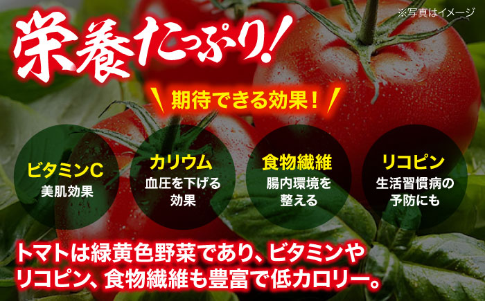 【先行予約】【4月上旬から順次発送】 トマト 桃太郎 12から15玉 約2.3kg 愛媛県大洲市/梶原農園 とまと 大玉トマト 野菜 リコピン 人気 [AGCX003]