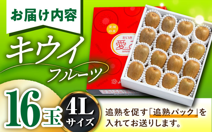 【先行予約】【2025年2月上旬から順次発送】【期間・数量限定】食べ応え抜群！愛媛県産　キウイフルーツ 赤秀4L大玉サイズ （16玉入り） フルーツ キウイ キウイフルーツ デザート 愛媛県大洲市/愛媛たいき農業協同組合[AGAO002]