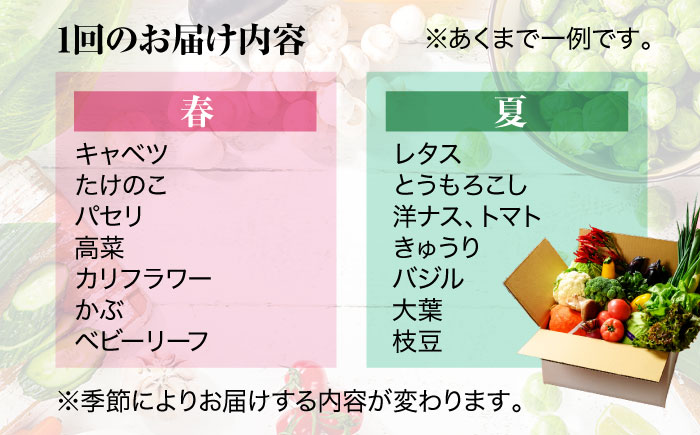 【全12回定期便】【シェフの目線】栽培期間中農薬不使用！大満足 旬のお野菜セット　愛媛県大洲市/有限会社ヒロファミリーフーズ [AGBX005]野菜 サラダ カレー 農業 トマト 料理  きゅうり 鍋 とうもろこし 果物 ミニトマト 農園 新鮮 旬の味 健康 和食 洋食 中華 産地直送 国産 安心安全 JAS認定 有機無農薬 有機栽培 減農薬栽培 有機JAS オーガニック お正月 クリスマス