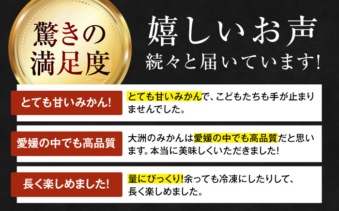 【先行予約】【12月上旬から順次発送】【期間・数量限定】愛媛みかん 南柑20号 赤秀10kg箱（100玉〜160玉） 果物 フルーツ みかん ミカン 愛媛みかん 愛媛県大洲市/愛媛たいき農業協同組合[AGAO007]