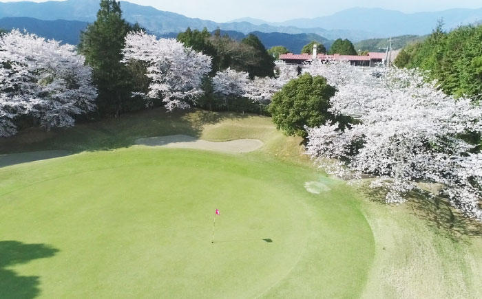 大洲ゴルフ倶楽部 ゴルフプレー利用補助券 3000円券×1枚 愛媛県大洲市/大洲観光株式会社 | ゴルフ場 プレー プレー券 旅行 体験 [AGDI002]