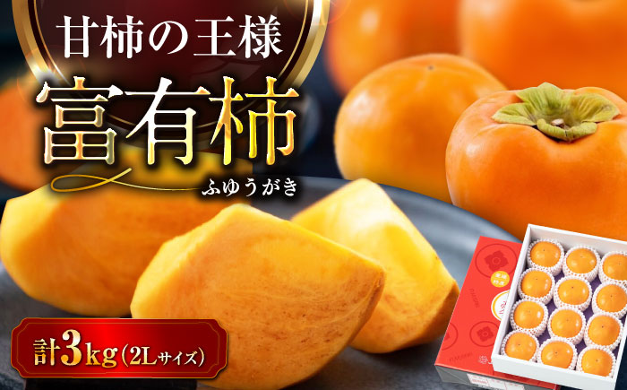 【先行予約】【11月上旬から順次発送】【期間・数量限定】愛媛県産 富有（ふゆう）柿 2Lサイズ 約3kg化粧箱入（12玉入り） かき カキ 柿 果物 フルーツ 愛媛県大洲市/愛媛たいき農業協同組合[AGAO011]