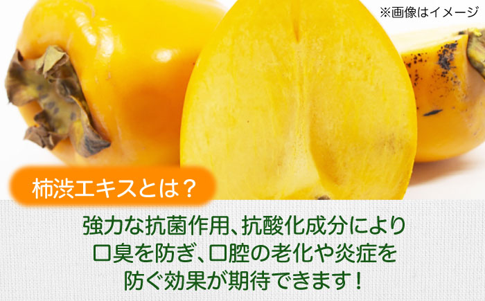 【全3回定期便】自然由来成分でお口スッキリ！なた豆＆柿渋　歯磨き粉　120ｇ×2本セット　ハミガキ粉 歯ブラシ オーラルケア 口腔ケア 歯周病予防 愛媛県大洲市/サンユー商店 [AGCS003]