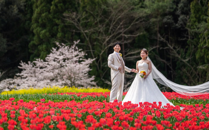 撮影チケット5000円分 愛媛県大洲市/アナグラム 記念撮影 記念写真 撮影 写真 [AGDZ003]