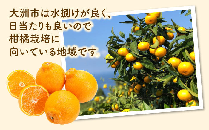 果実そのままの味わい！不知火100％ジュース 720ml×4本　愛媛県大洲市/玉川農園 [AGBC001]みかん オレンジ フルーツ ミカン 果物 かき氷 みかんジュース 愛媛みかん こたつ みきゃん スムージー デザート おやつ ヨーグルト 調味料 ドレッシング 隠し味 料理