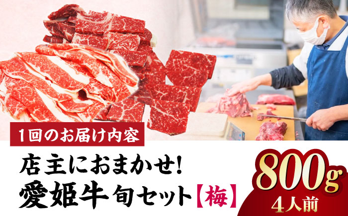 【全12回定期便】「愛姫牛」店主におまかせ旬セット【梅】800g（4人前）愛媛県大洲市/有限会社 木村屋精肉店 焼肉 焼き肉 すきやき すき焼き しゃぶしゃぶ ステーキ 赤身 牛肉 冷凍 冷凍肉 お肉 [AGCC059]