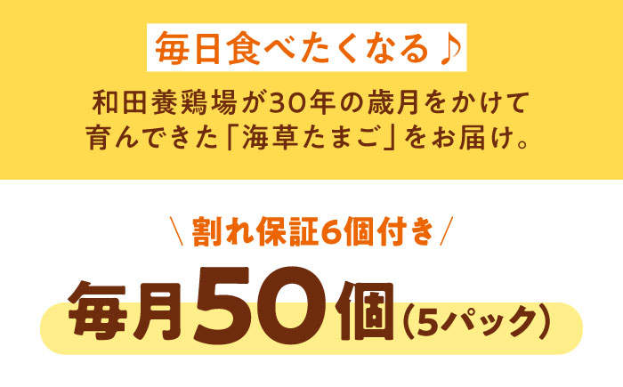 【全3回定期便】平飼い 海草たまご 5パック（50個入り）割れ保証あり 愛媛県大洲市/和田養鶏場 卵 たまご 鶏卵 卵料理 玉子 [AGDQ008]