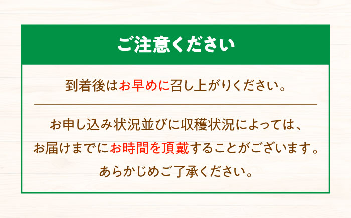 【先行予約】【8月中旬から順次発送】大洲市産　ニューベリーA　4-5房入　2.0kg 愛媛県大洲市/株式会社フジ・アグリフーズ [AGBA024]