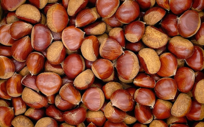 【先行予約】【9月下旬から順次発送】栗1kg（L〜4Lサイズ） 愛媛県大洲市/株式会社フジ・アグリフーズ [AGBA020]栗 テリーヌ 甘露煮 栗ごはん 栗の渋皮煮 秋の味覚 くり 和菓子 栗ご飯 栗きんとん スイーツ クリ モンブラン マロン