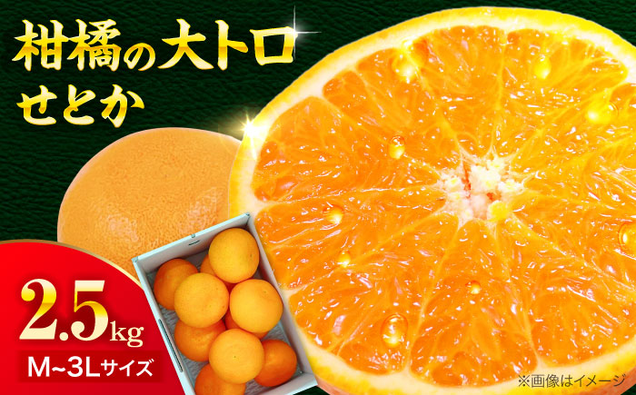 愛媛県産　せとか　2.5kg 愛媛県大洲市/株式会社フジ・アグリフーズ　柑橘 みかん せとか 果物 フルーツ [AGBA019]