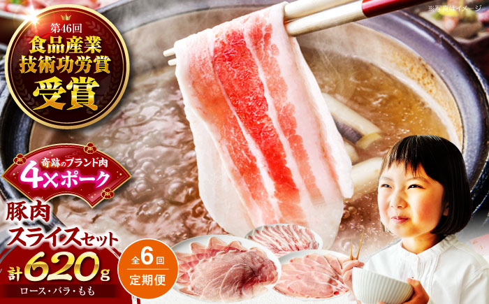 【全6回定期便】【冷凍】【4Xポーク】 豚肉 ポークスライスセット 620g （ロース150g、バラ170g、もも300ｇ）　豚肉 切り落とし 小分け 肉 ぶたにく 愛媛県大洲市/株式会社SL Creations [AGCY011]