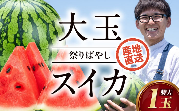 [先行予約][2026年6月上旬から順次発送] 特大スイカ[祭りばやし]特大(11〜13kg)×1玉 すいか 西瓜 フルーツ 果物 くだもの 愛媛県大洲市/ふじた農園 [AGDH005]