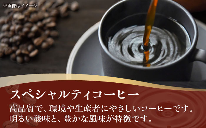 コーヒー豆  スペシャルティコーヒー おすすめ2種セット 各250g 珈琲 コーヒー豆 コーヒー粉 コーヒー ドリップ ドリップ珈琲 飲料 愛媛県大洲市/株式会社日珈 [AGCU027]